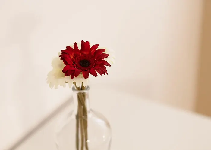 - Luxury Italy 아파트 베르바니아